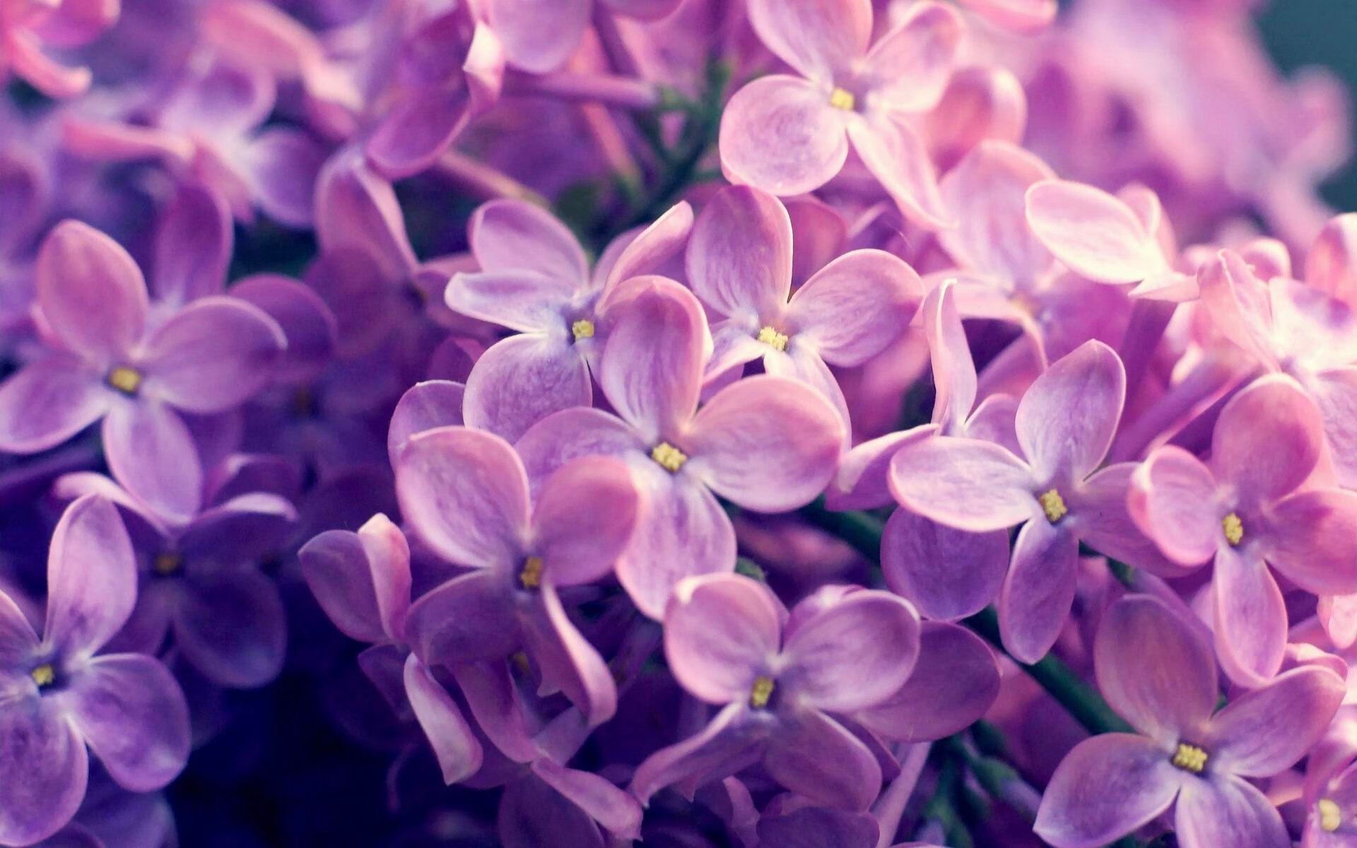 风雪明州，尼克斯一剑封喉，保罗赛后评分拉满揭示胜负密码